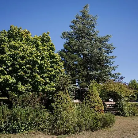 De L'escargot D'or 2*